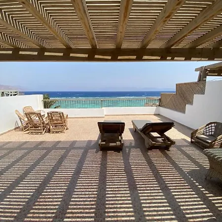 Terrace Apartments