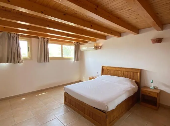 Terrace Apartment *